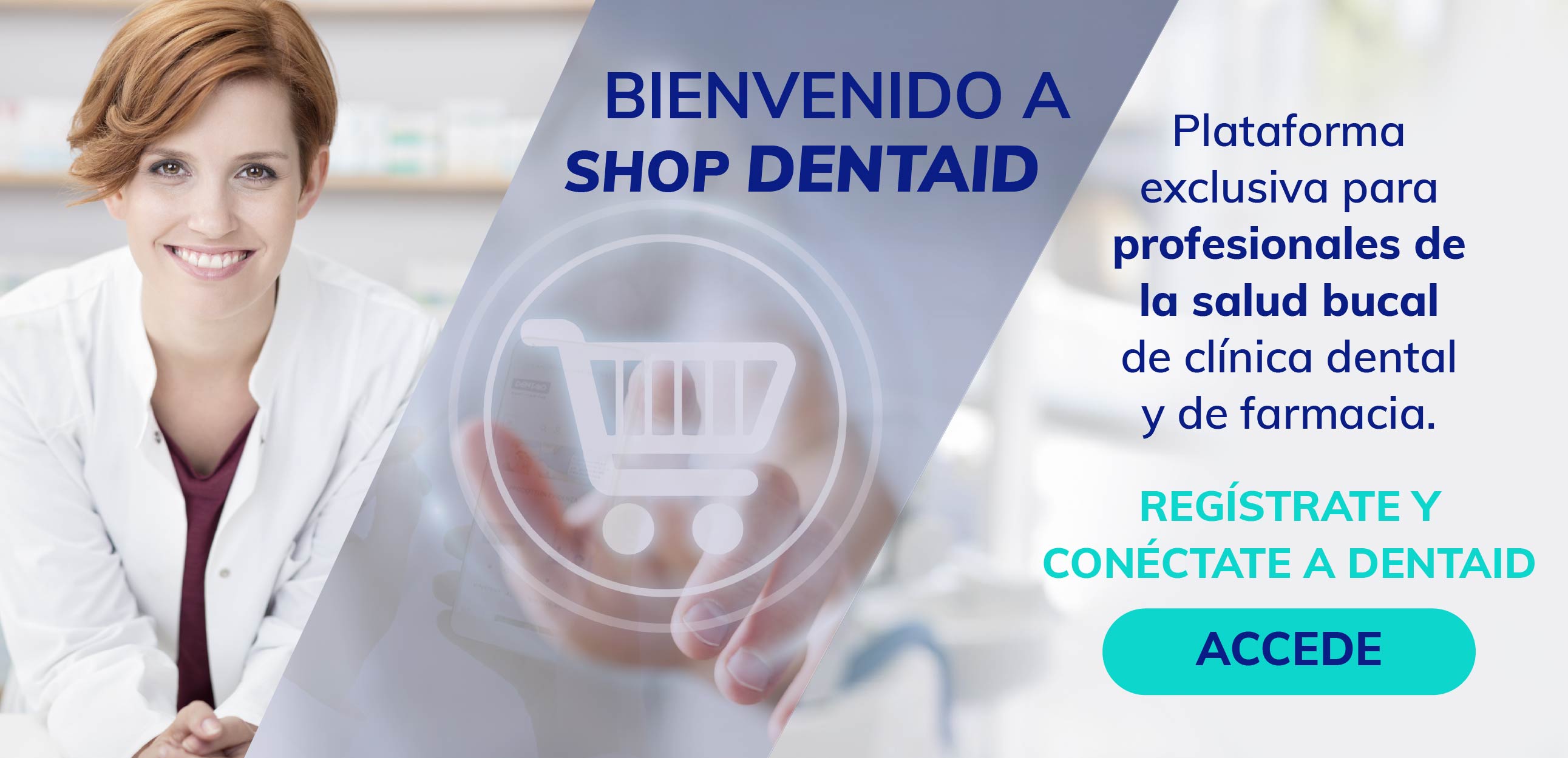 B2B store banner